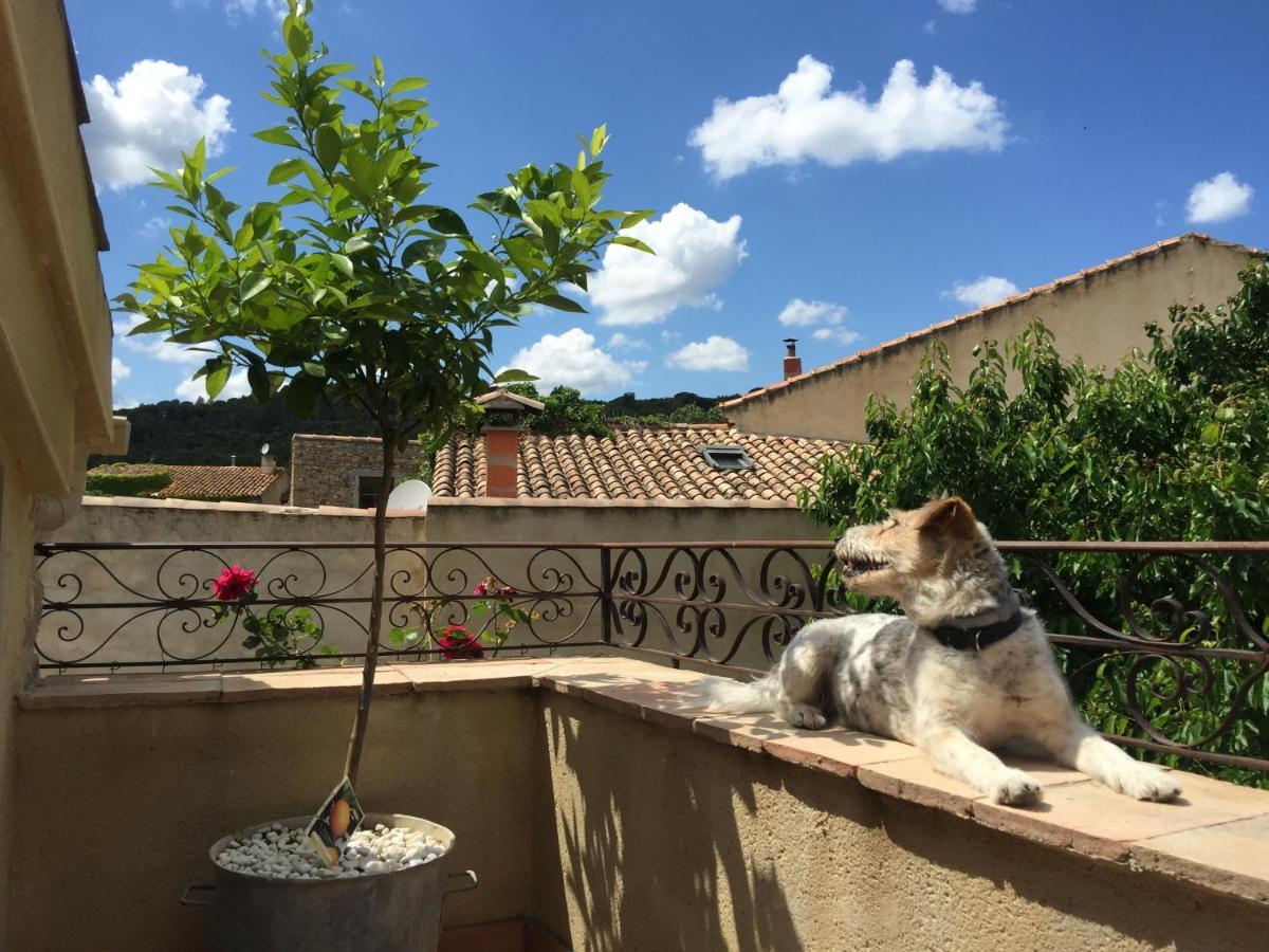 Holidays In Lagrasse Luaran gambar