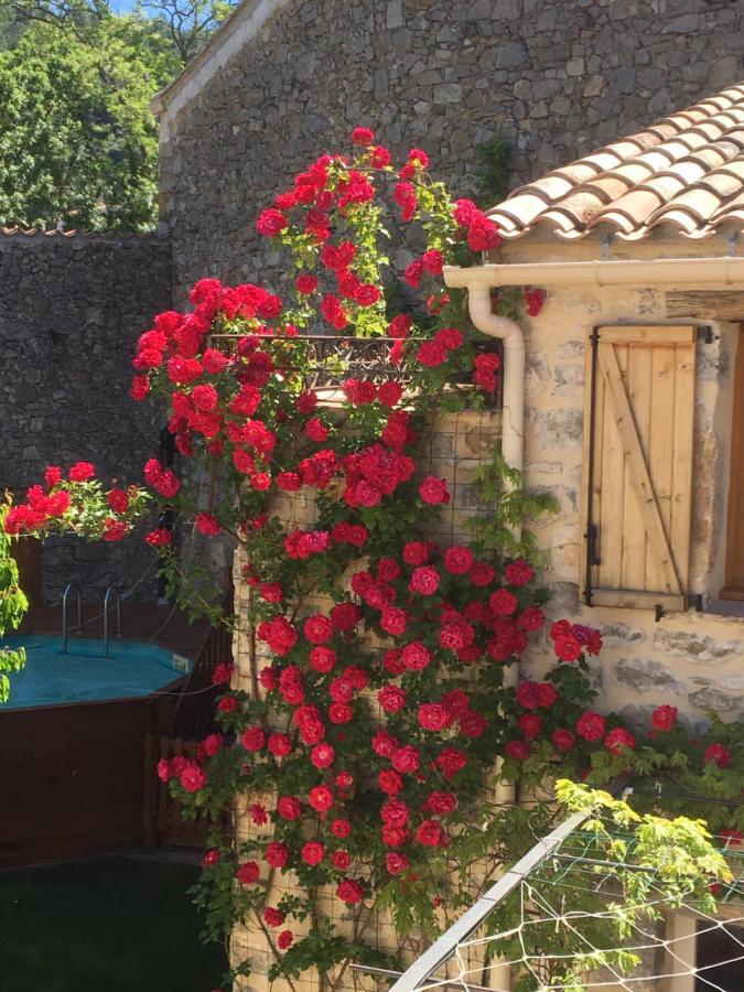 Holidays In Lagrasse Luaran gambar